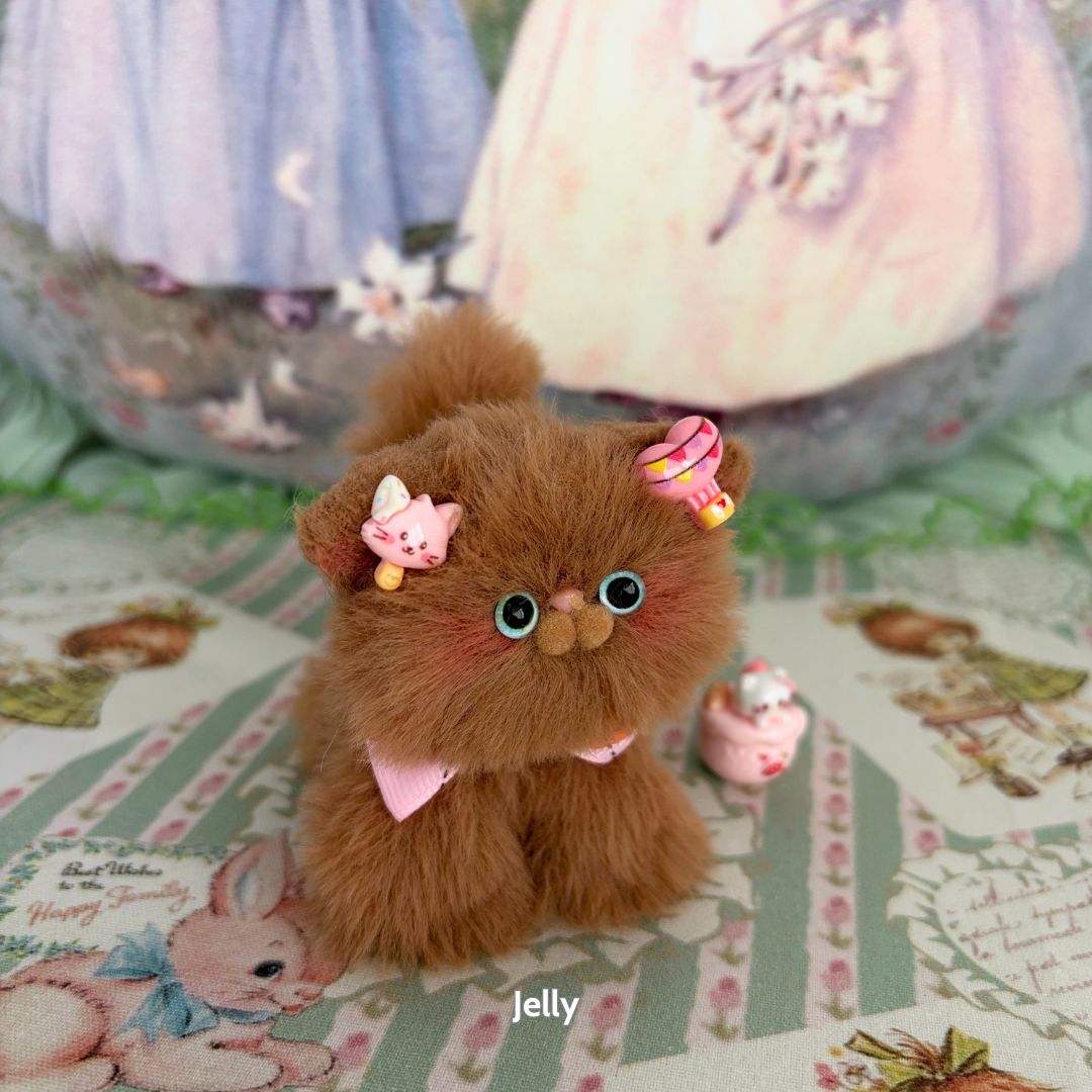 Brown Kitten Collection