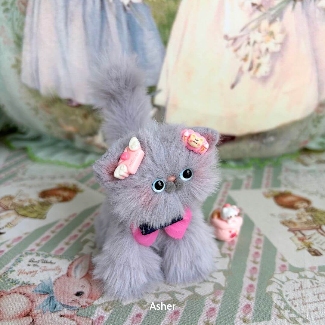 Grey Kitten Collection