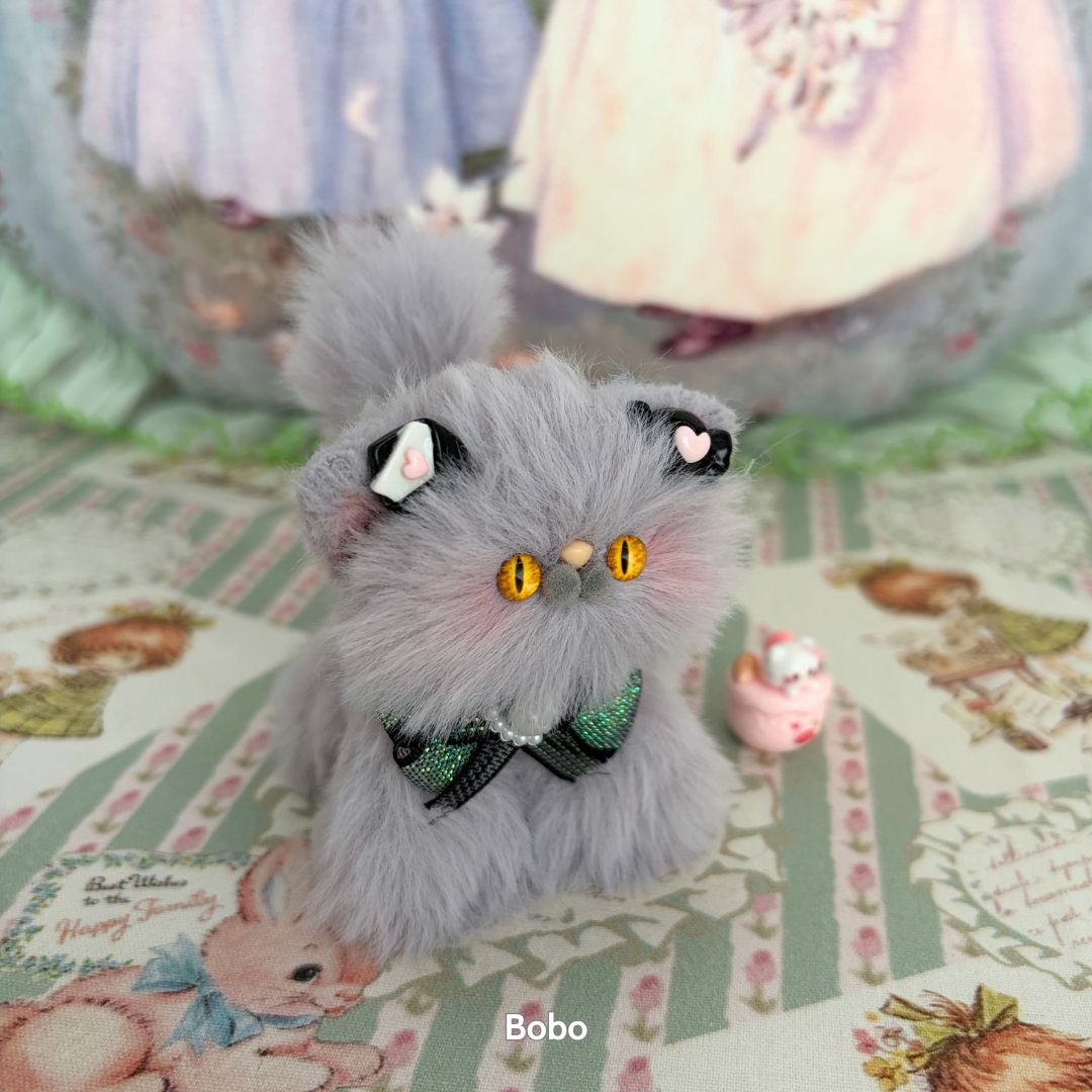 Grey Kitten Collection