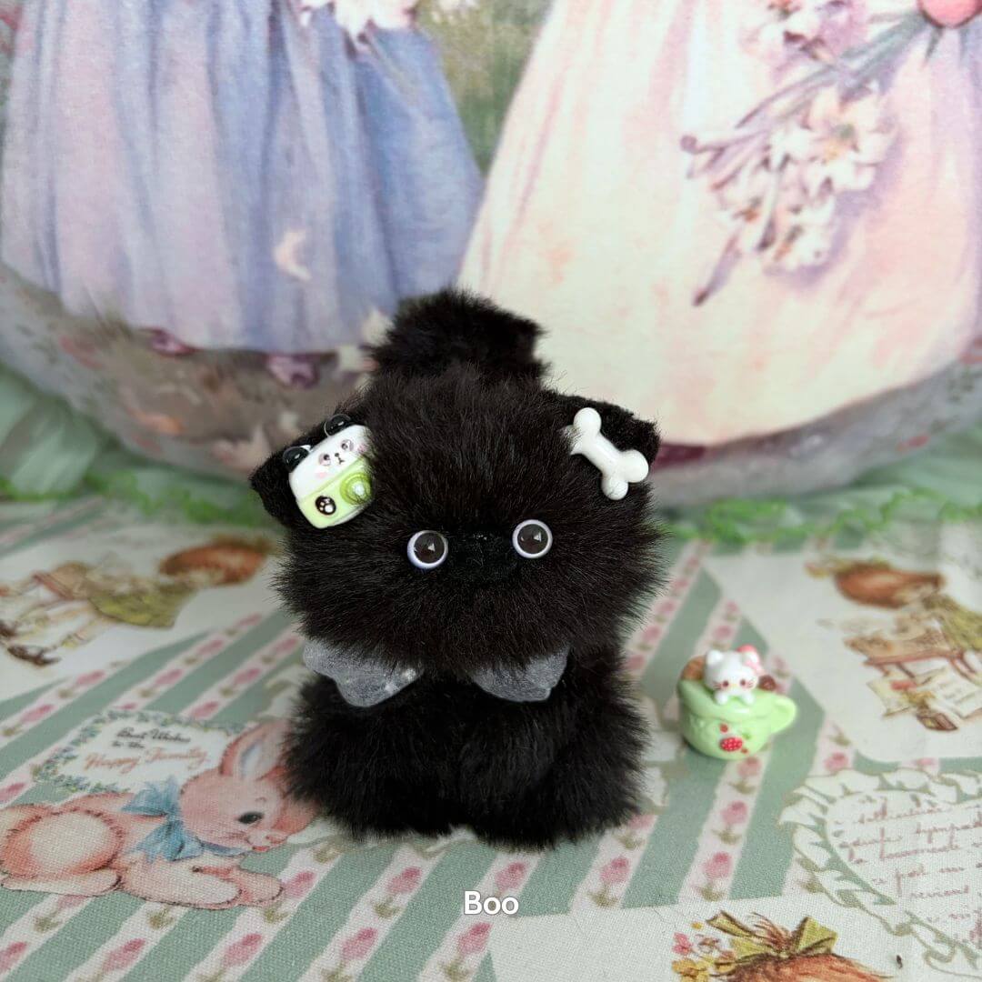 Black Kitten Collection