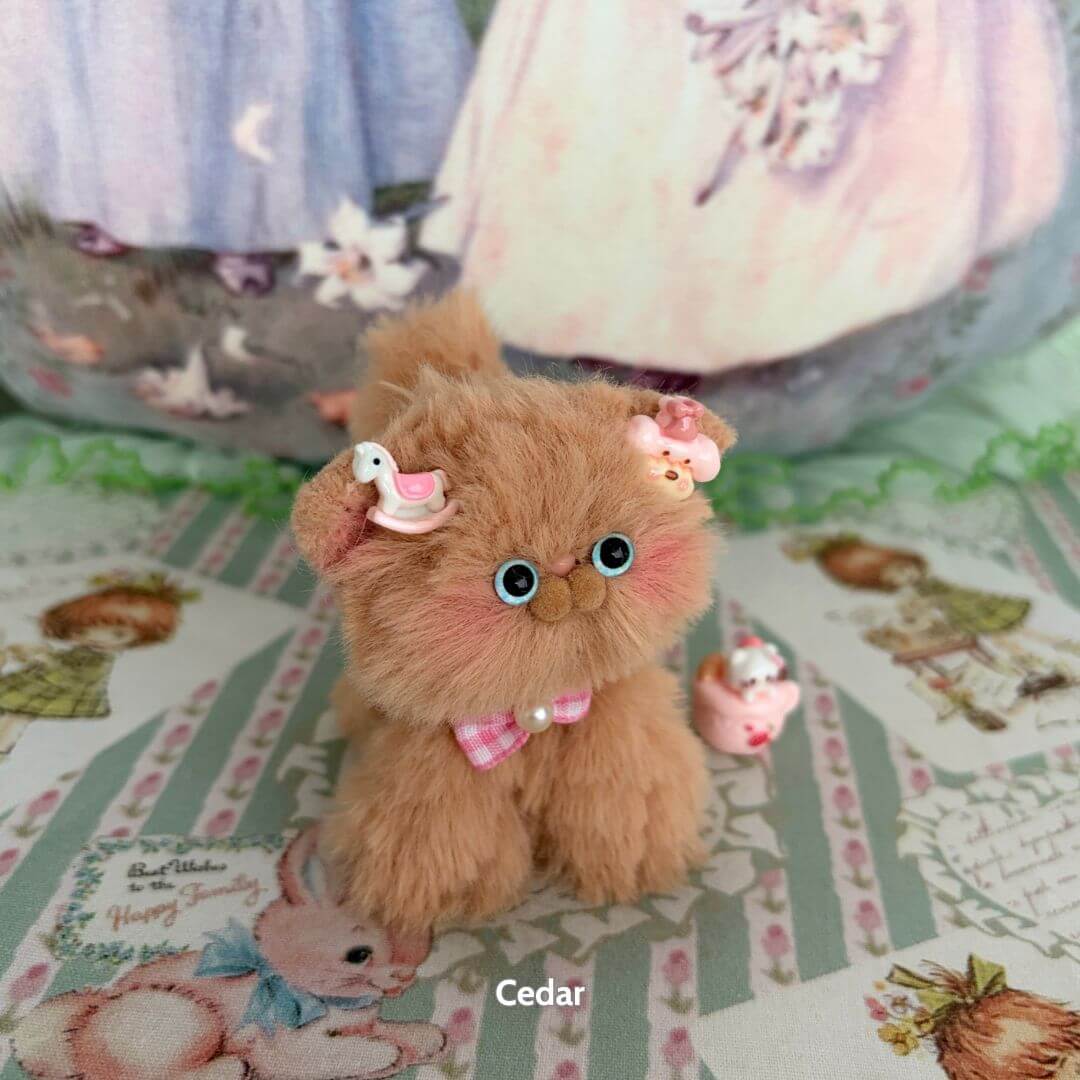 Brown Kitten Collection
