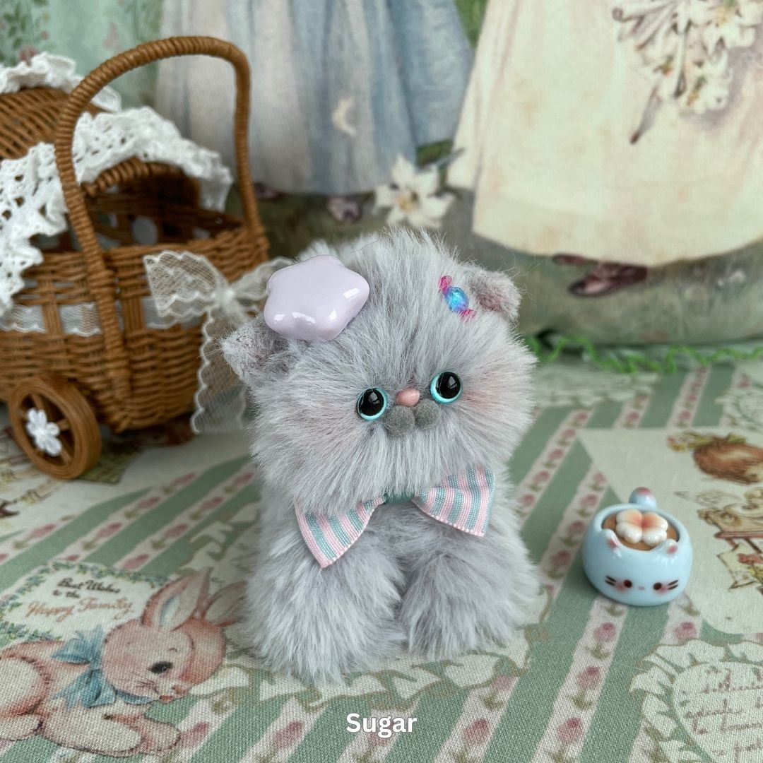 Gray Kitten Collection