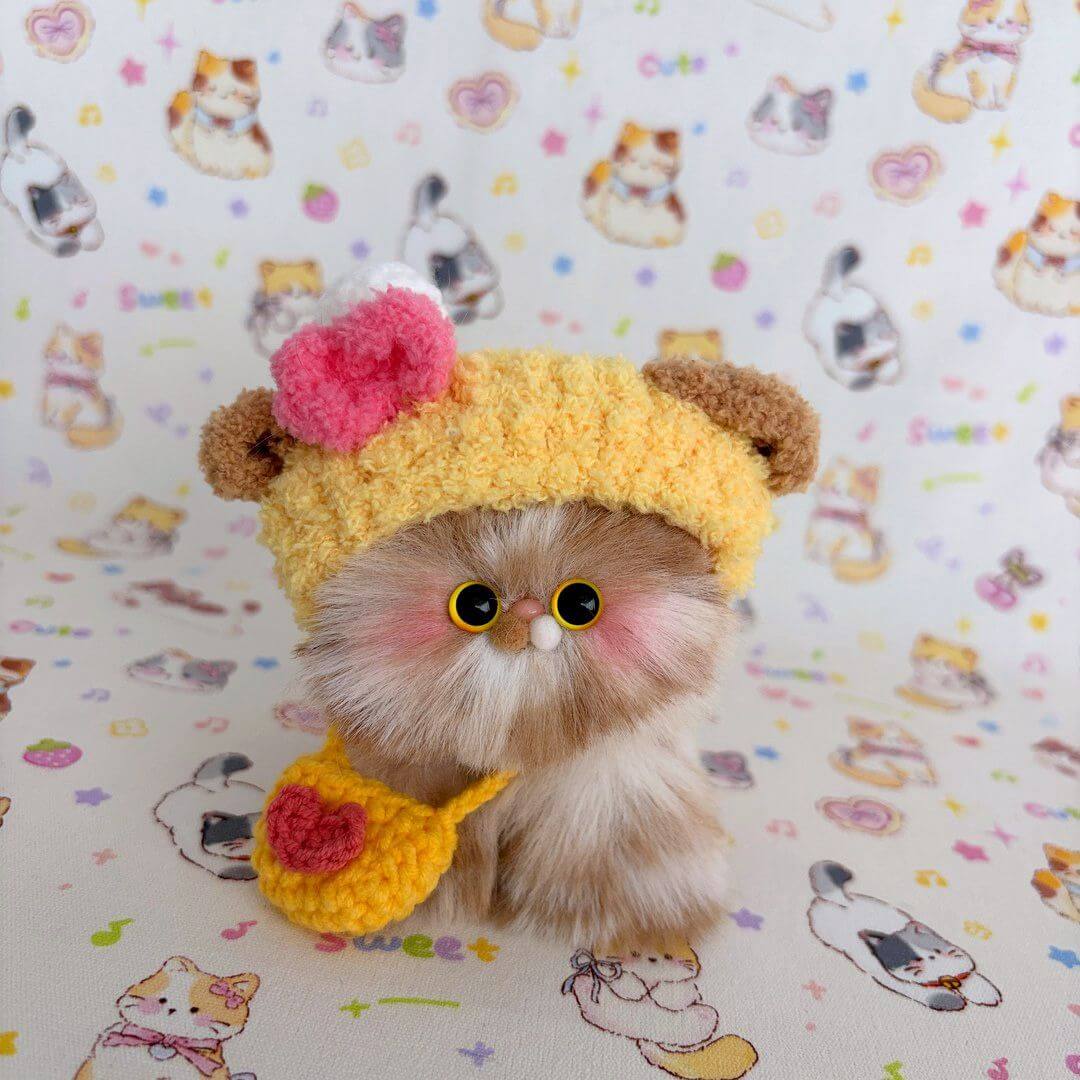 Fluffy Hoodie Kittens