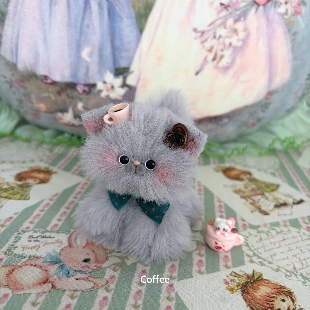 Grey Kitten Collection