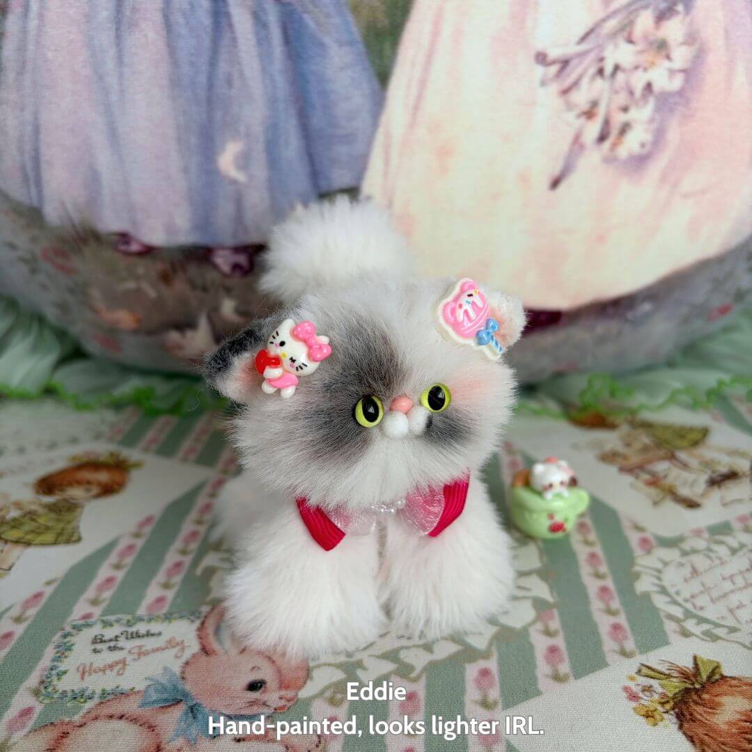 Adorable Kitten Collection