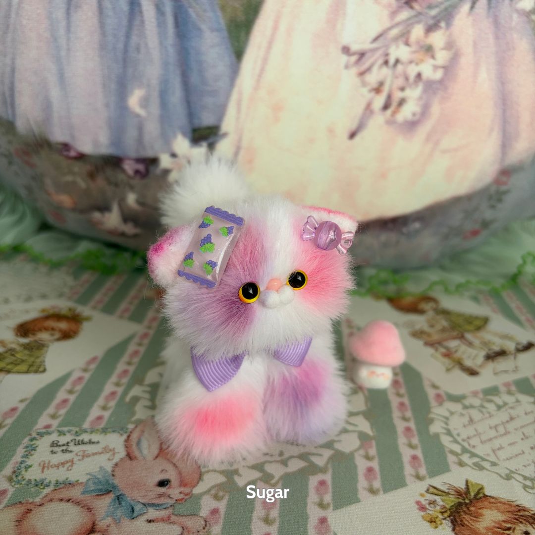 Sweet Dreams Kitten Collection