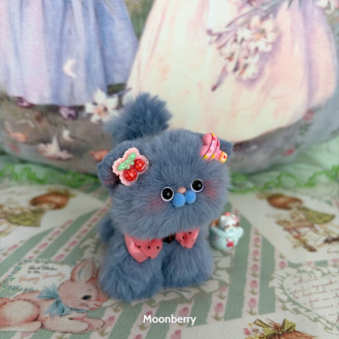 Fruity Kitten Collection