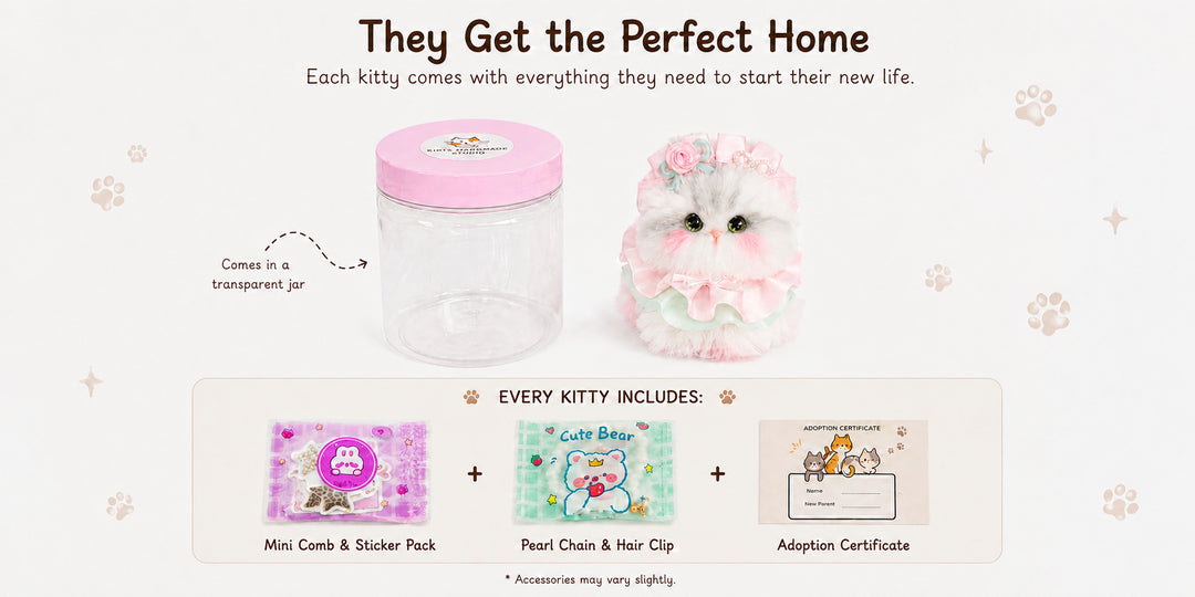 Adorable Kitten Collection gift packaging