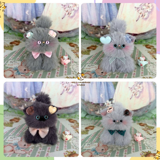 Grey Kitten Collection