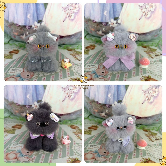 Grey Kitten Collection