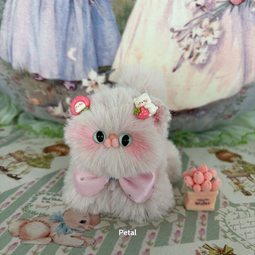 Fluffy Kitten Collection