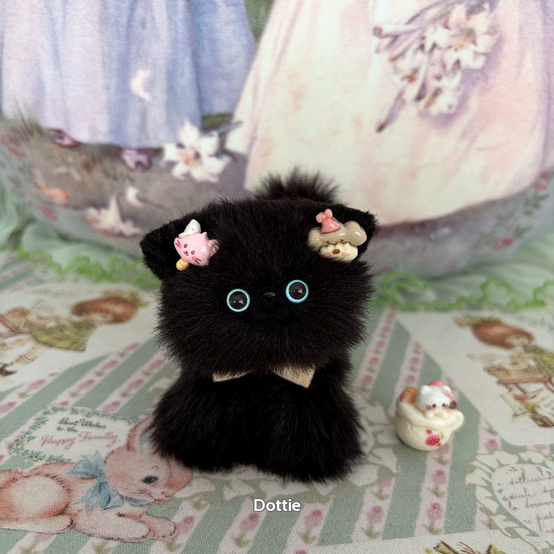 Black Kitten Collection