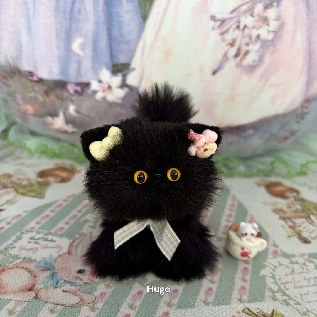 Black Kitten Collection