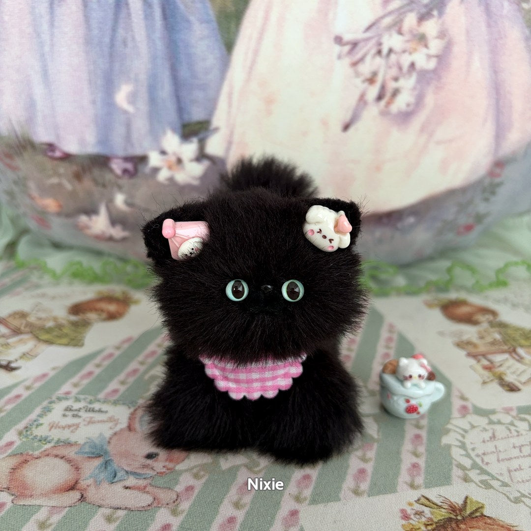 Black Kitten Collection