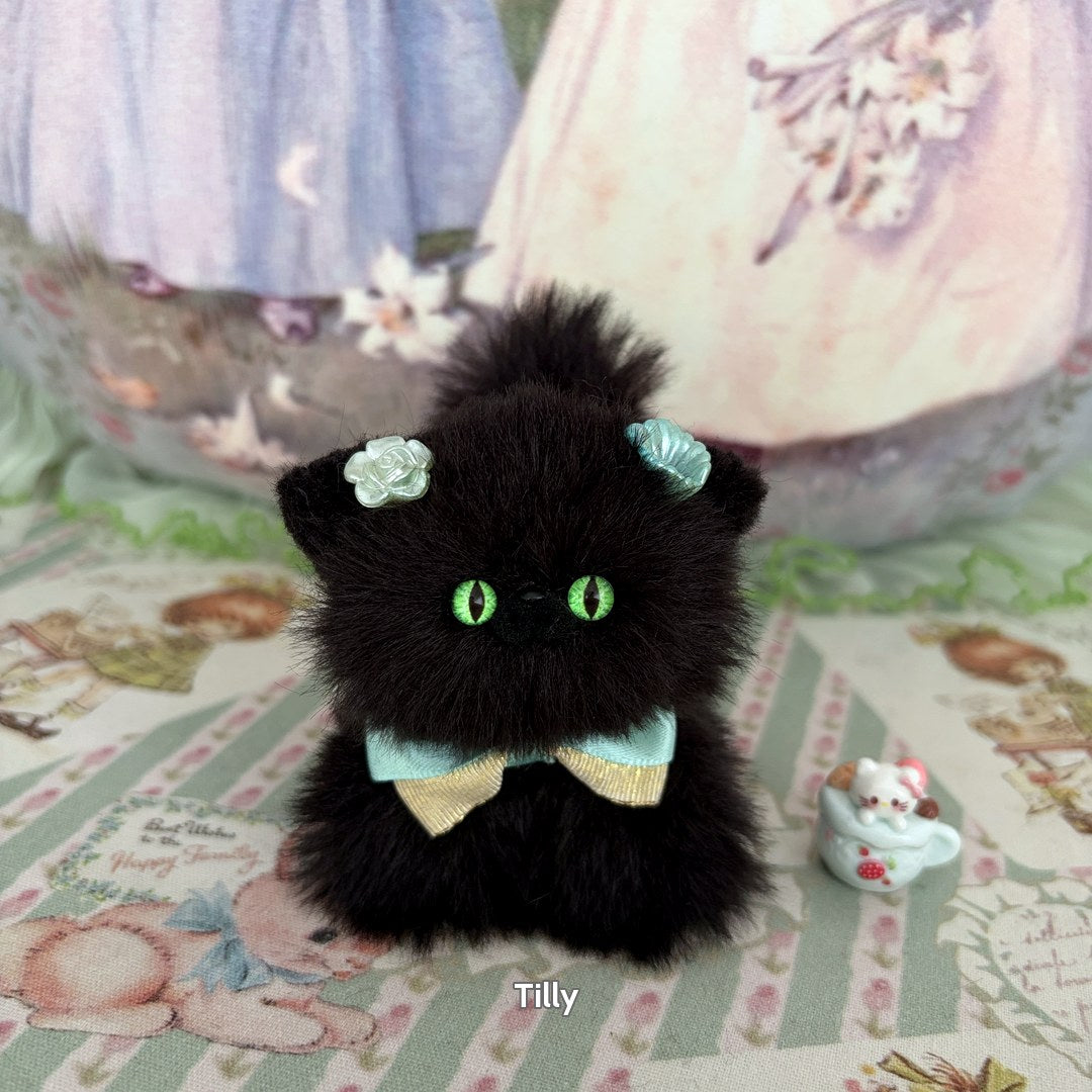 Black Kitten Collection