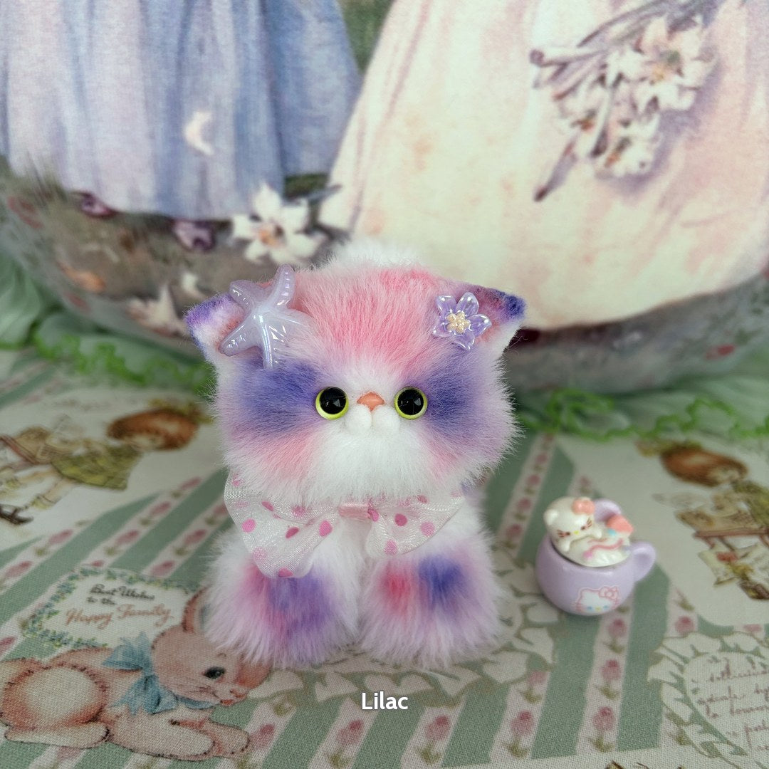 Sweet Dreams Kitten Collection