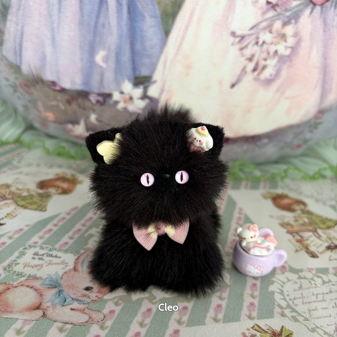 Black Kitten Collection
