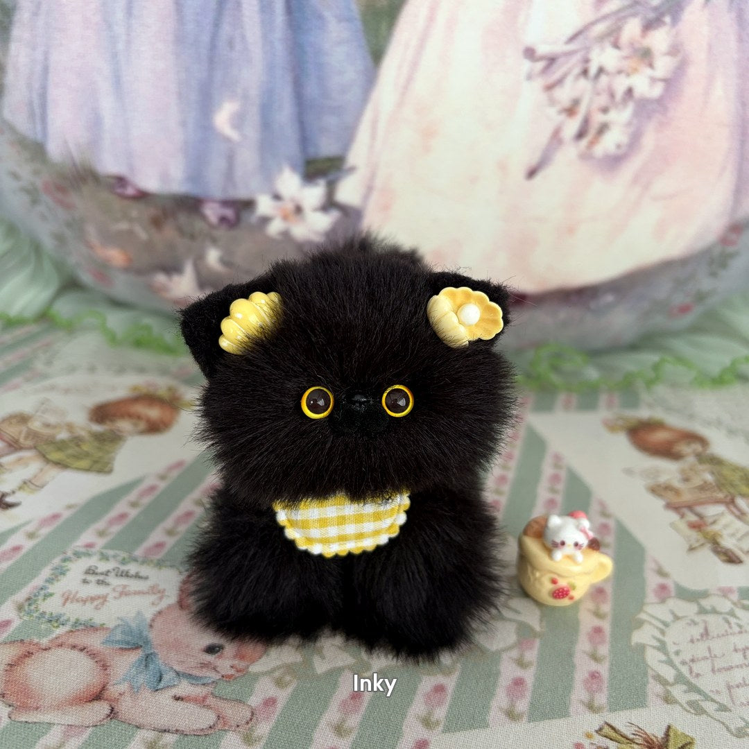 Black Kitten Collection
