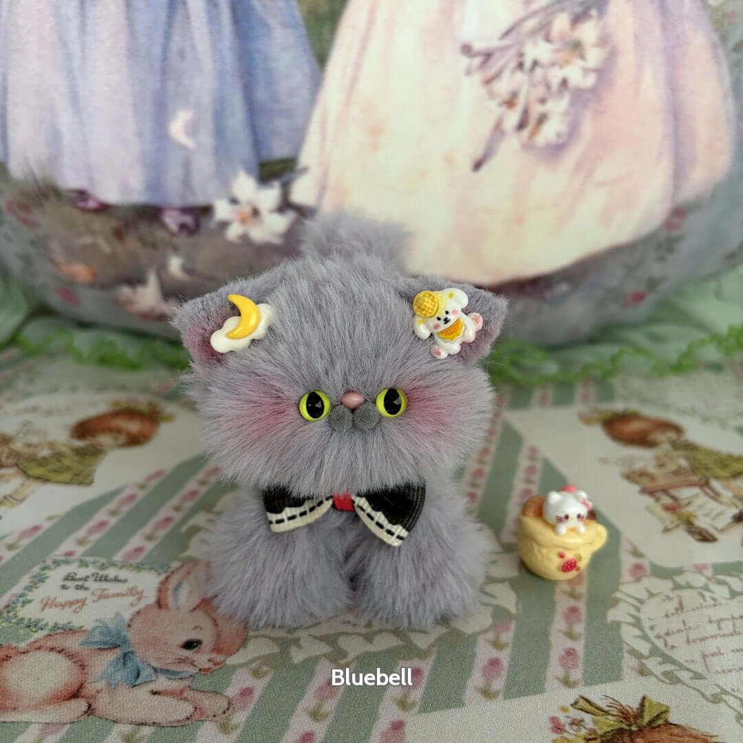 Grey Kitten Collection