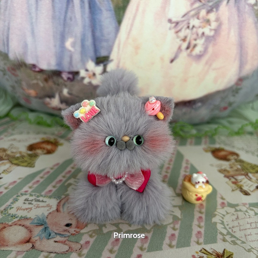 Grey Kitten Collection