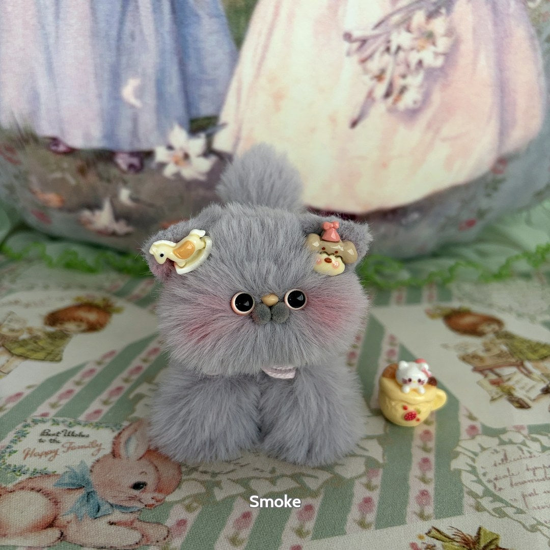 Grey Kitten Collection