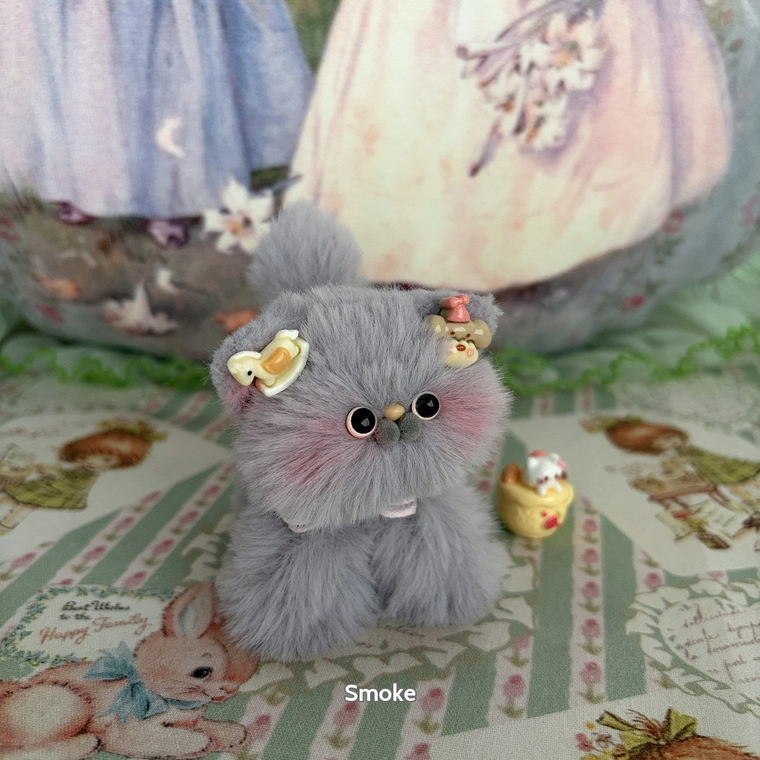 Grey Kitten Collection