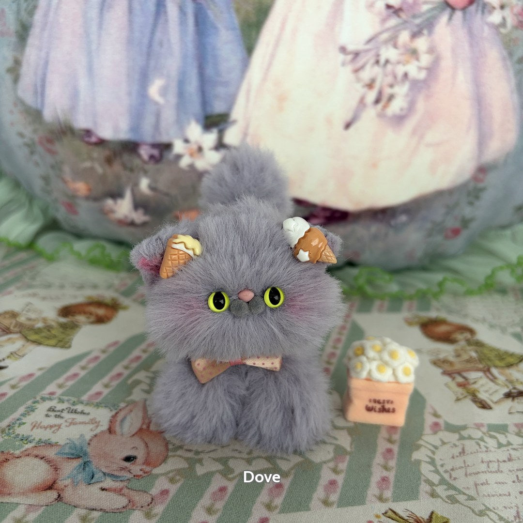 Grey Kitten Collection