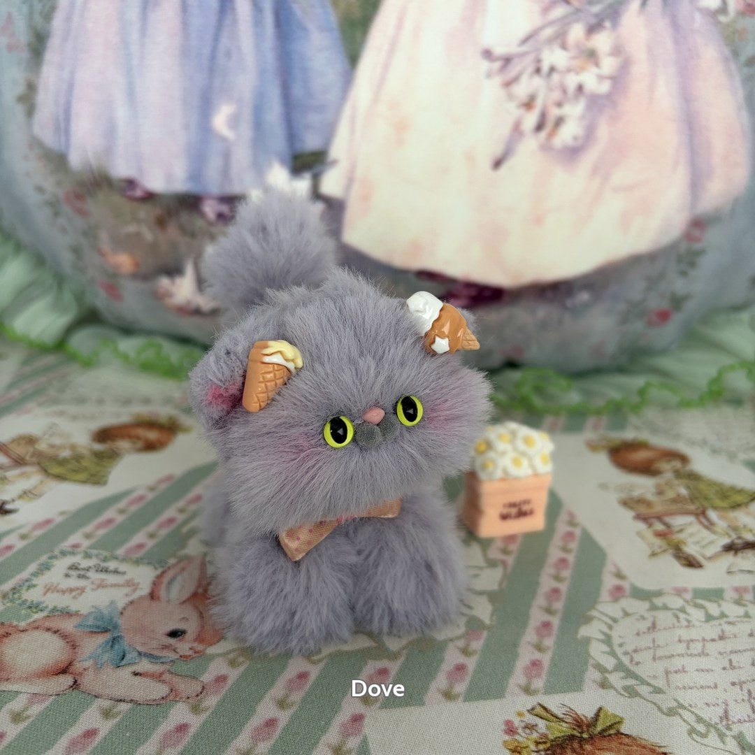 Grey Kitten Collection