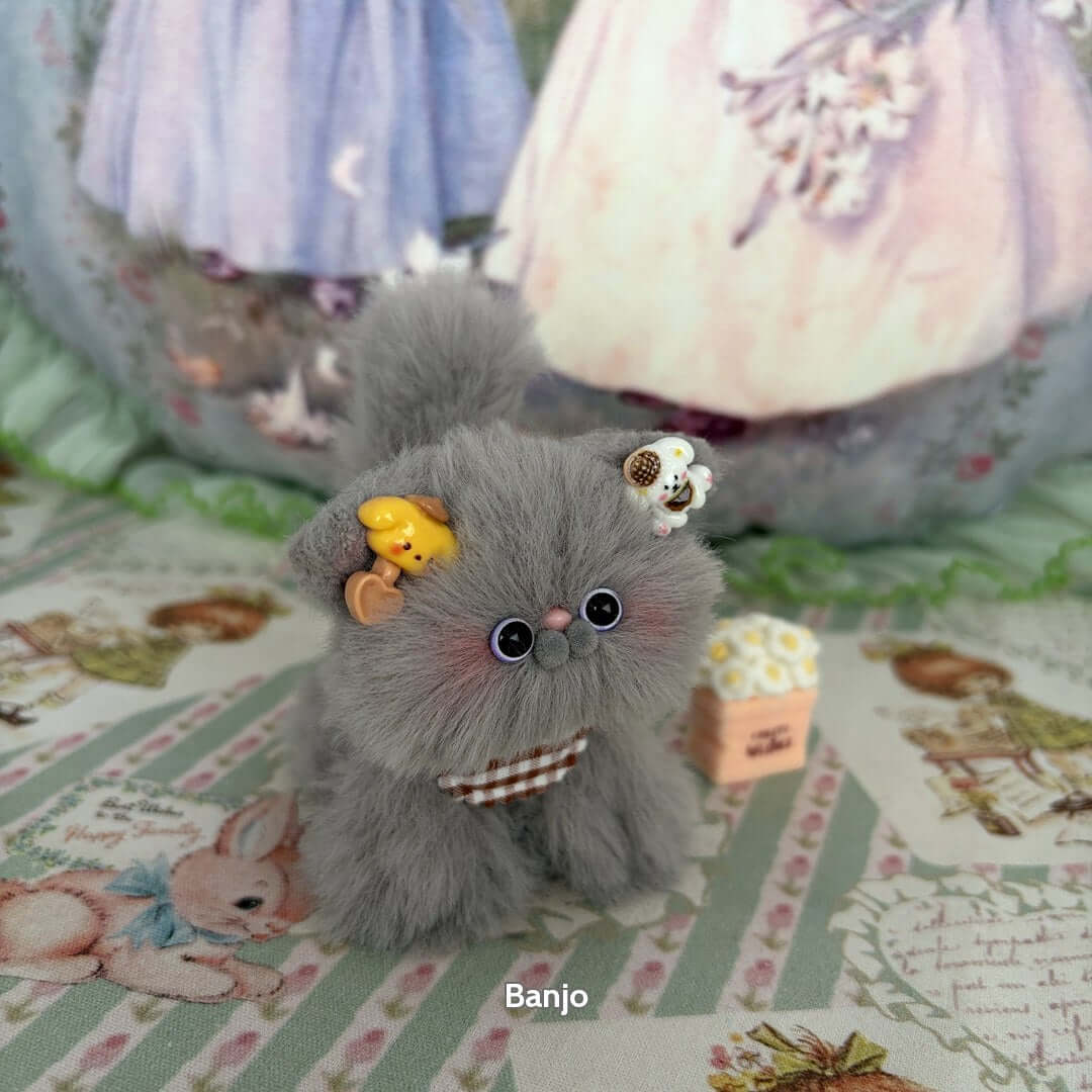 Grey Kitten Collection