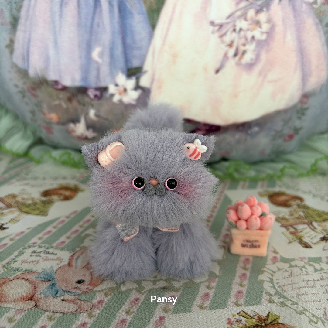 Grey Kitten Collection
