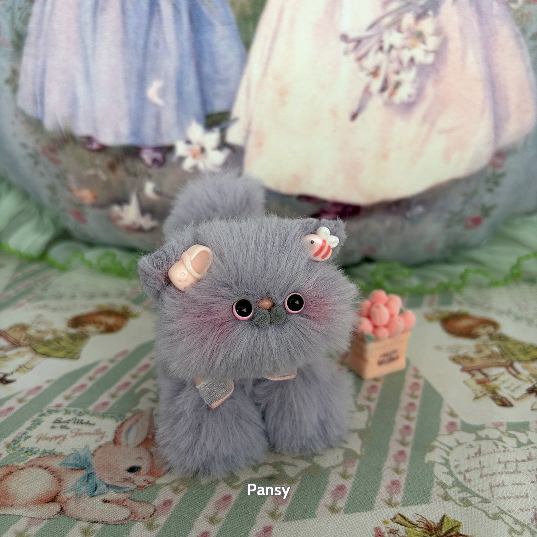 Grey Kitten Collection