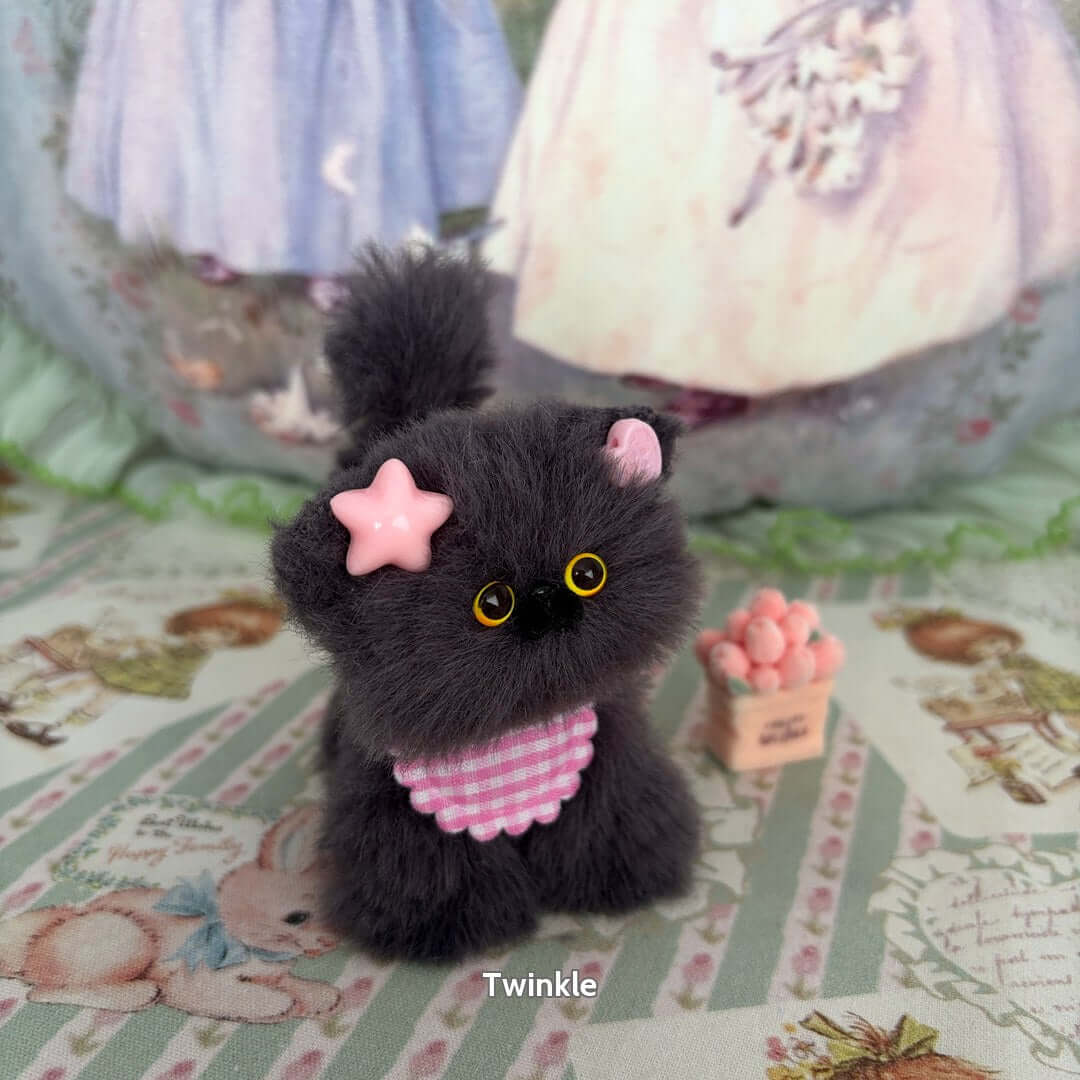 Grey Kitten Collection
