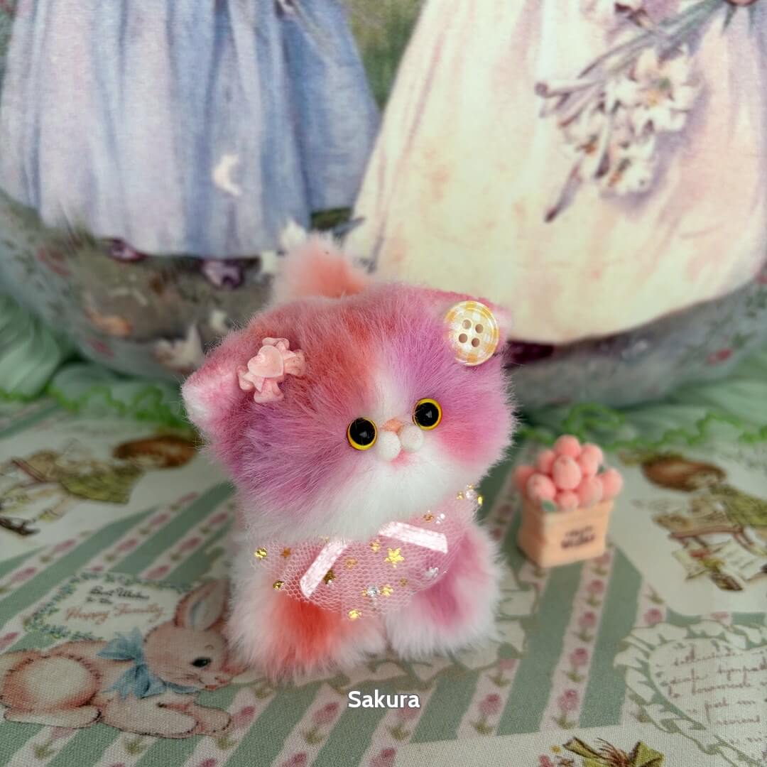 Sweet Dreams Kitten Collection