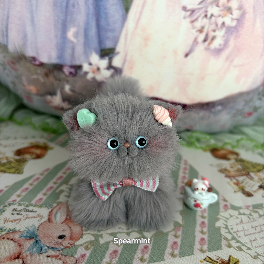 Grey Kitten Collection