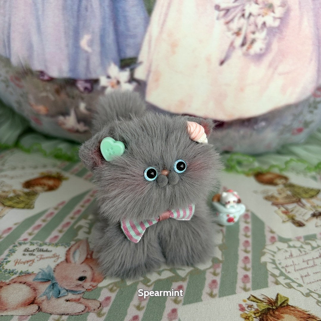 Grey Kitten Collection