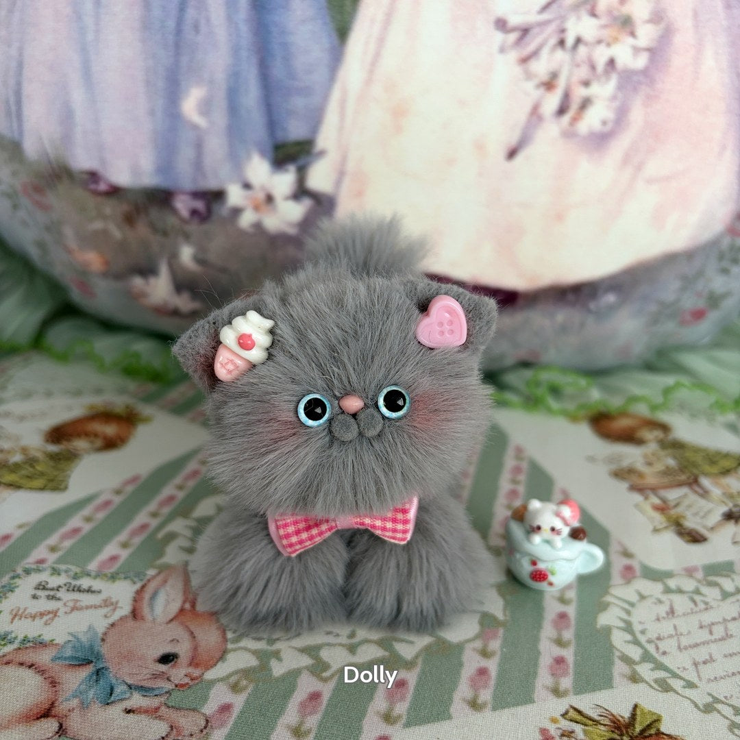 Grey Kitten Collection