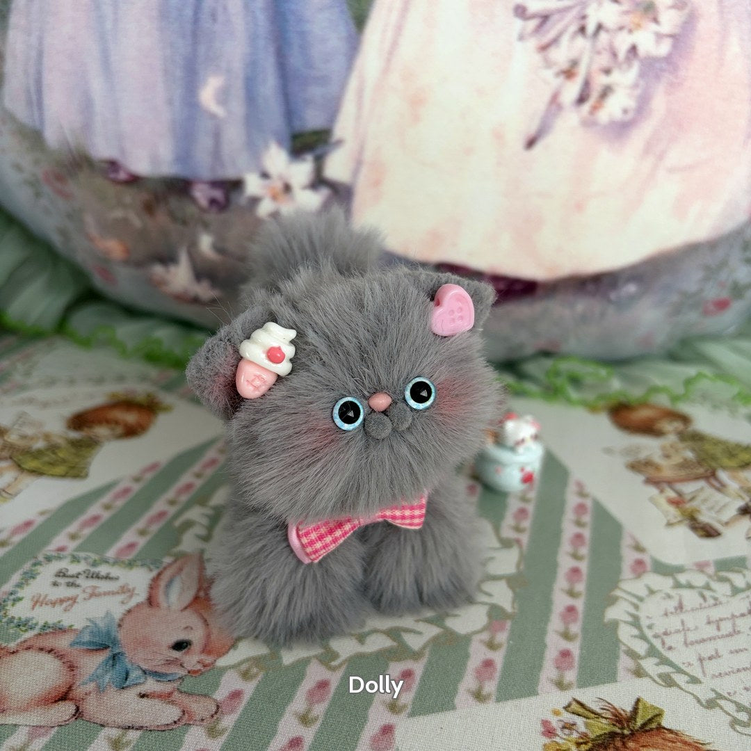 Grey Kitten Collection