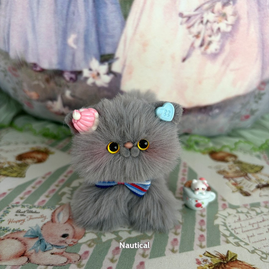 Grey Kitten Collection