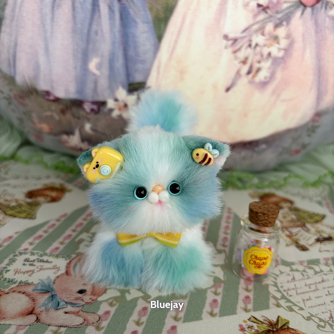 Sweet Dreams Kitten Collection