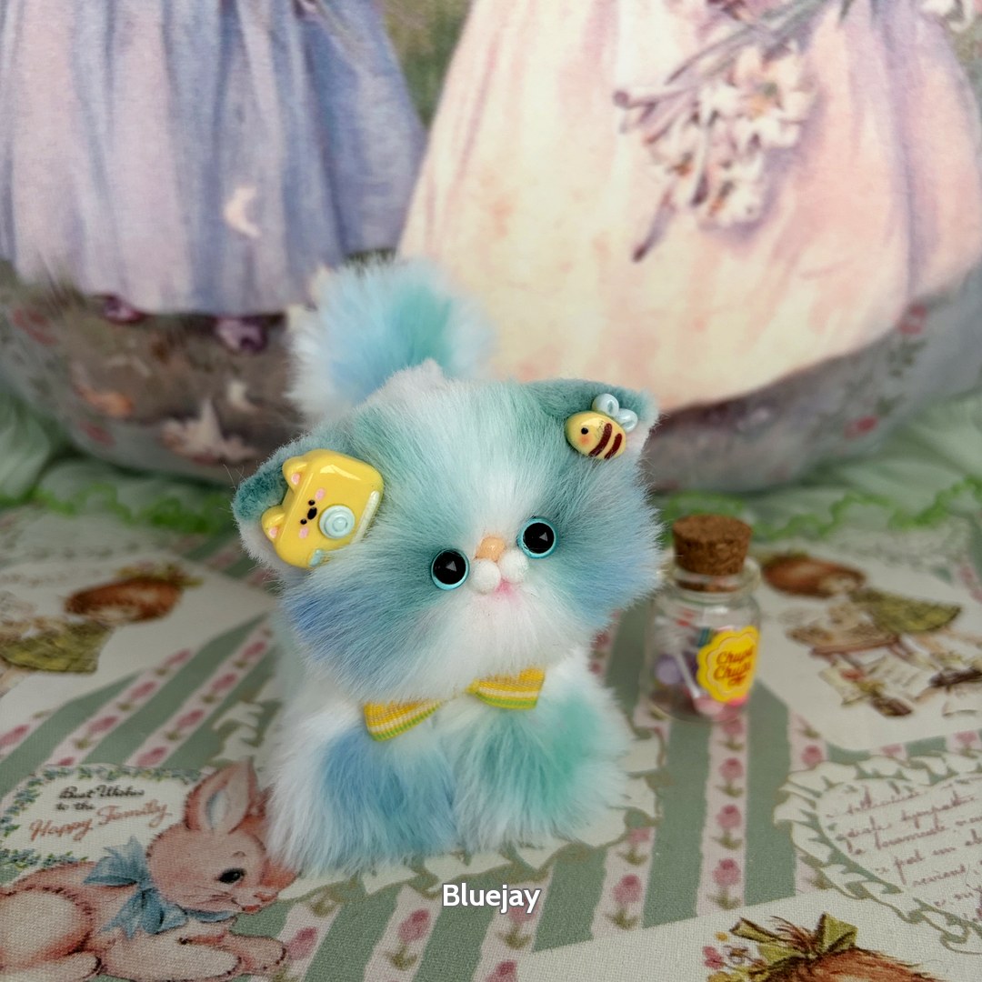Sweet Dreams Kitten Collection