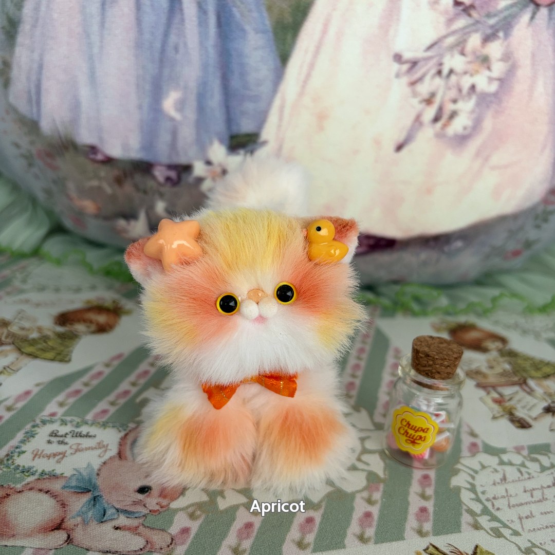 Sweet Dreams Kitten Collection