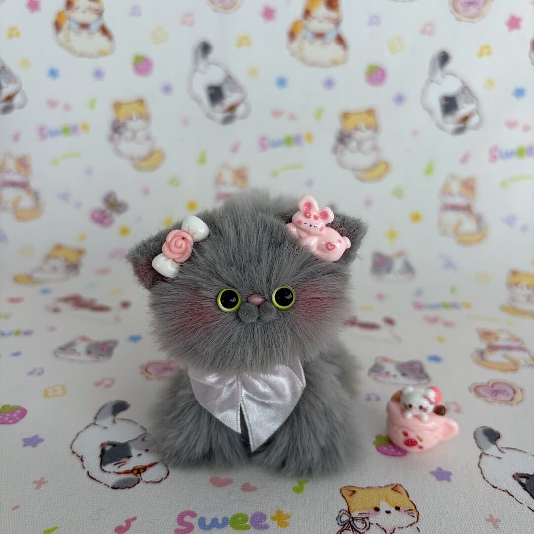 Grey Kitten Collection