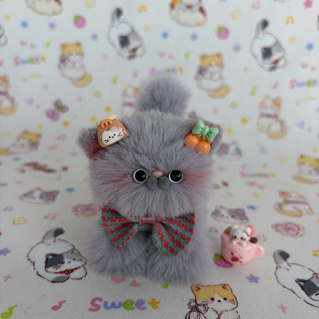 Grey Kitten Collection