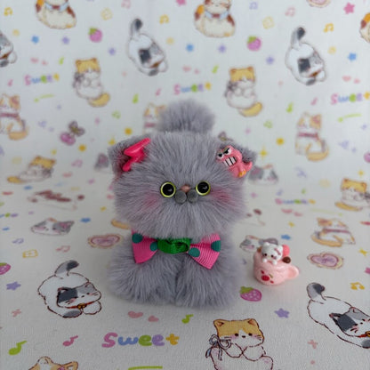 Grey Kitten Collection