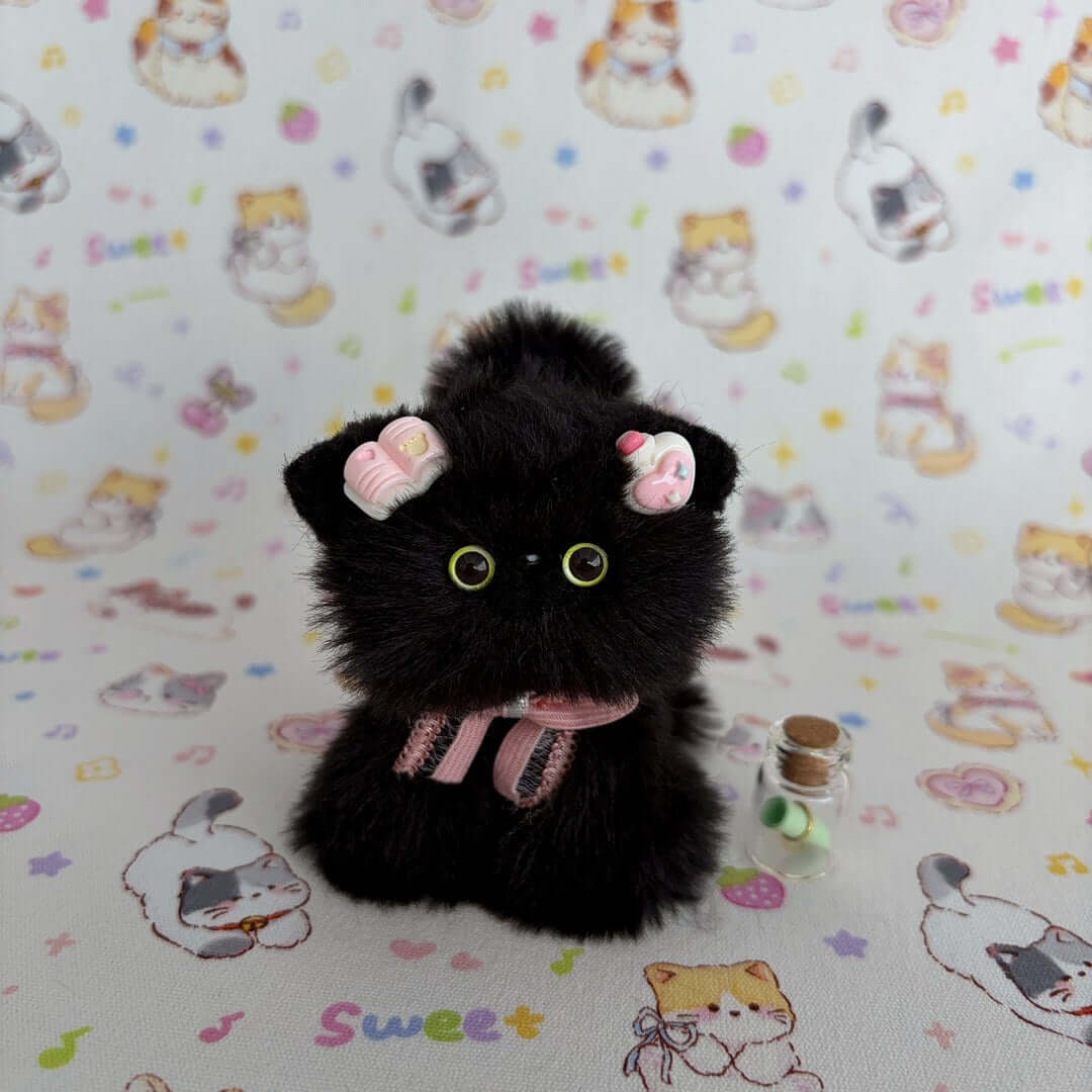 Black Kitten Collection