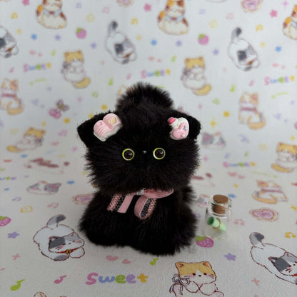 Black Kitten Collection