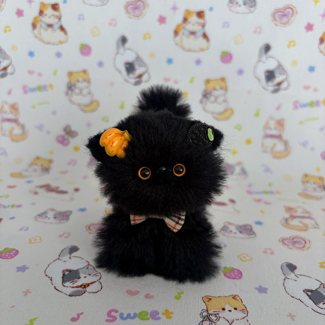 Black Kitten Collection