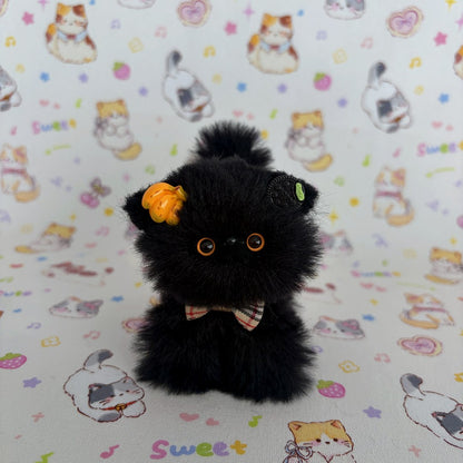 Black Kitten Collection