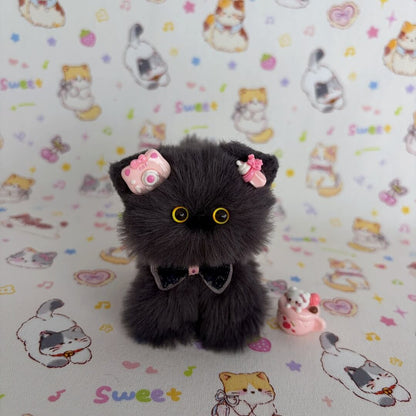 Grey Kitten Collection
