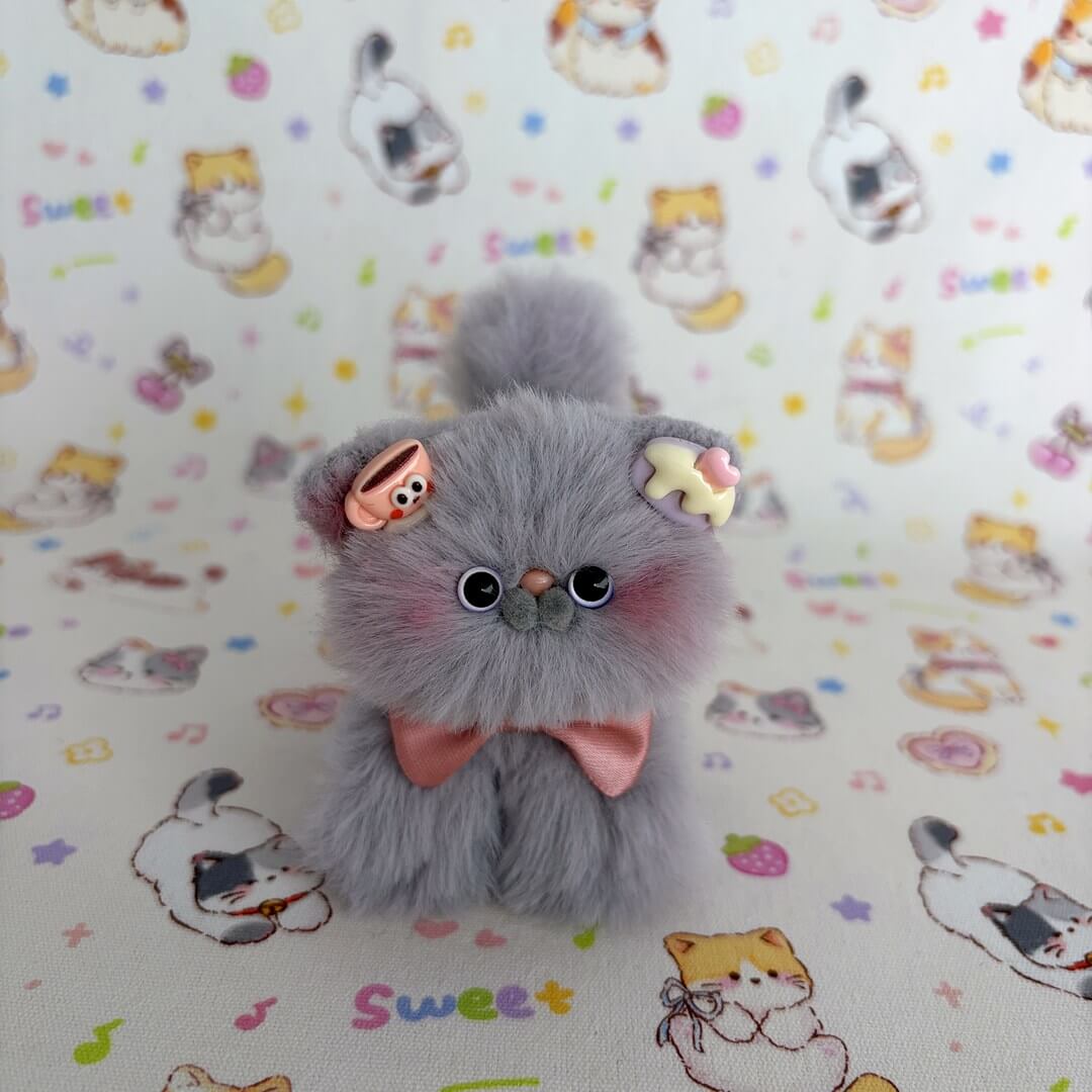 Grey Kitten Collection